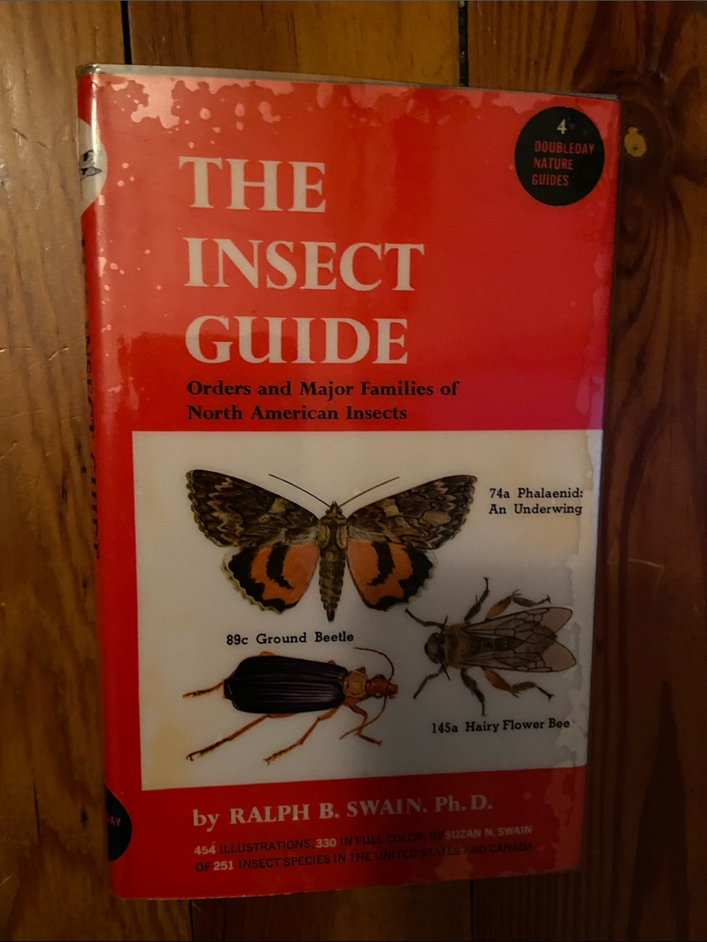 Vintage 40s 1940s Insect book insects butterfly butterflies dragonfly bee moth